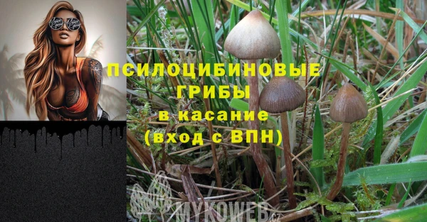 сатива Абдулино