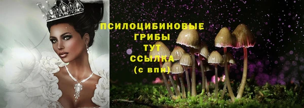 хмурый Абинск